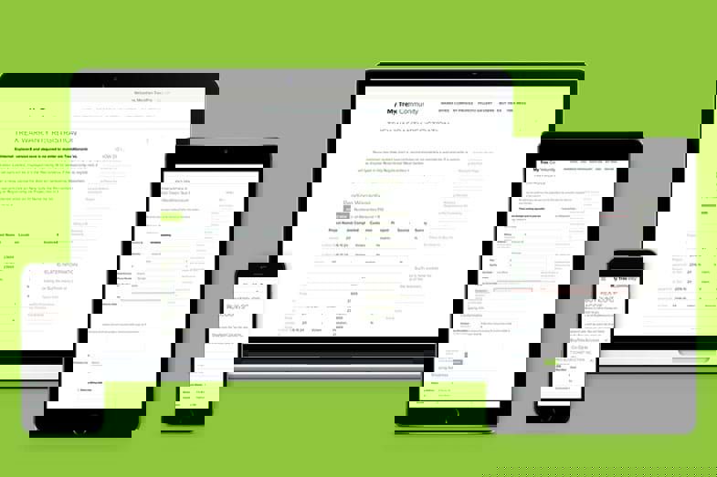 Trex web design showcase presentation