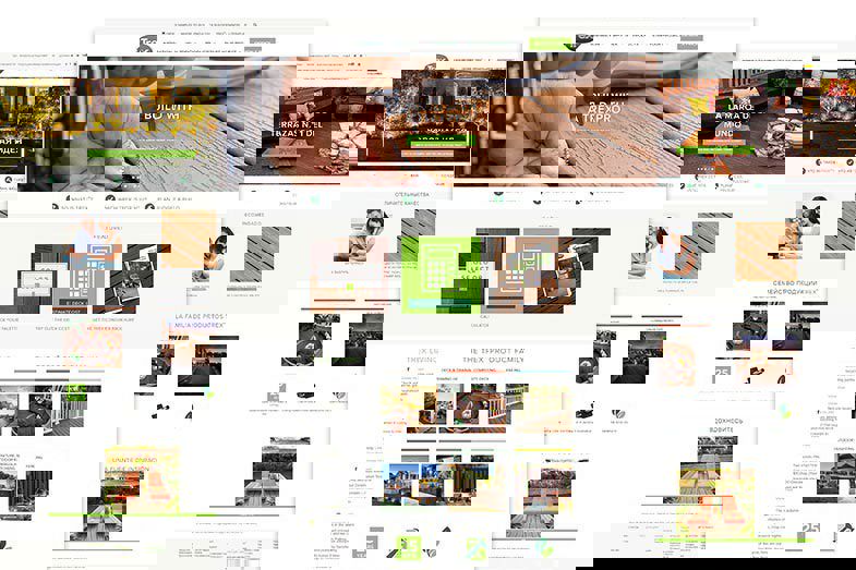 Trex desktop website design presentation