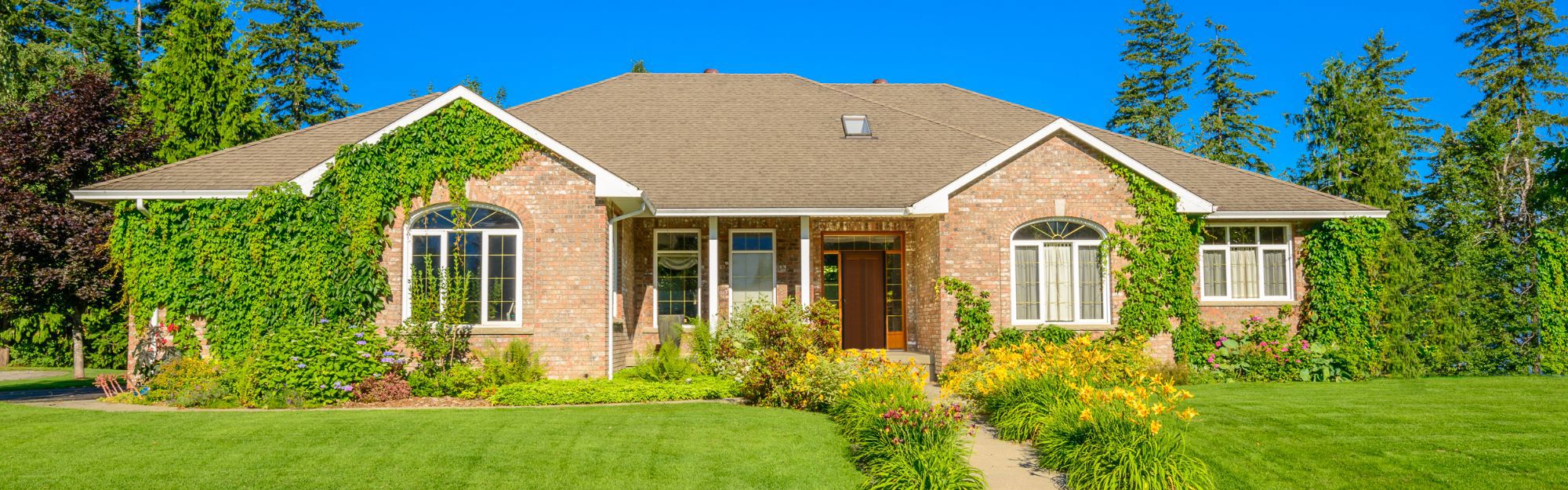 Real Estate Information Network (REIN) Statistics Reporting System